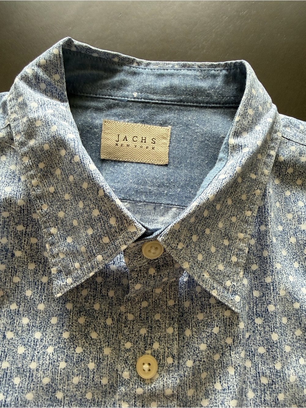 Jachs Light Blue Dot-Pattern Casual Button-Down Shirt